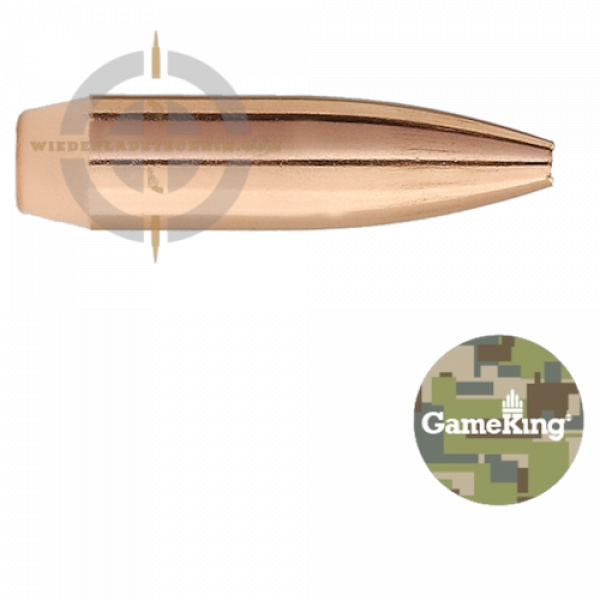 Sierra GameKing 1530 Geschoss